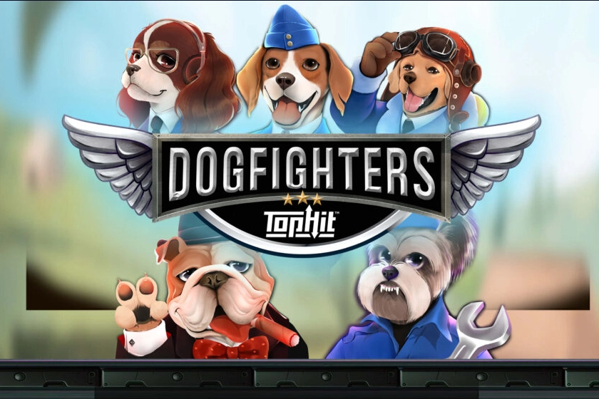 03100 dog fighters