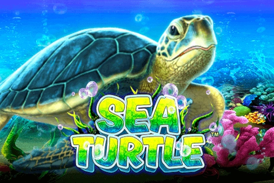 09011 sea turtle